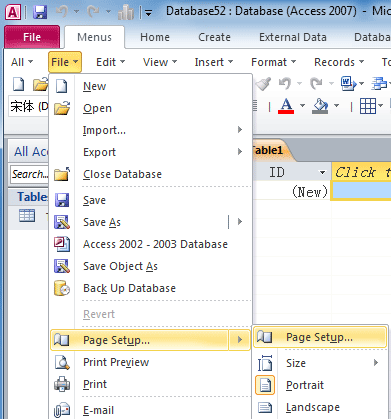 Figure 4: Page Setup in Access 2010's File Menu