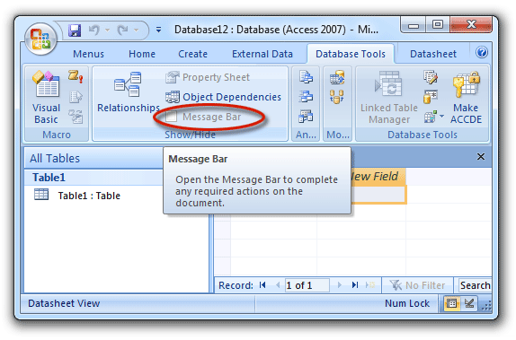 Message Bar in Access 2007 Ribbon