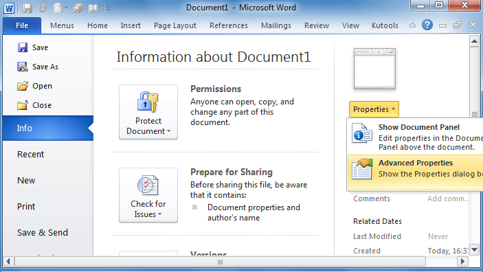 Figure 4: Properties in Word 2010's Ribbon