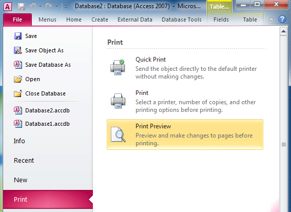 Fig. 4: Print Preview in Access 2010' Ribbon 