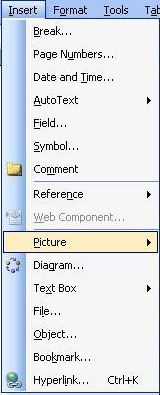 image of Insert Menu in Word 2003