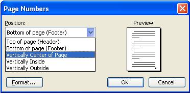 image about Page Number of Insert Menu in Word 2003