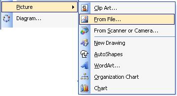 image about Picture of Insert Menu in Word 2010