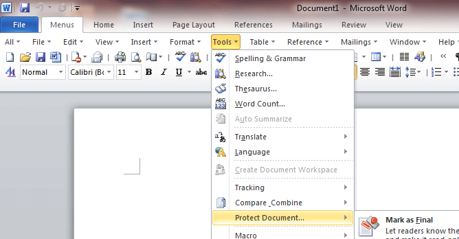 Screen Shot of Excel 2010